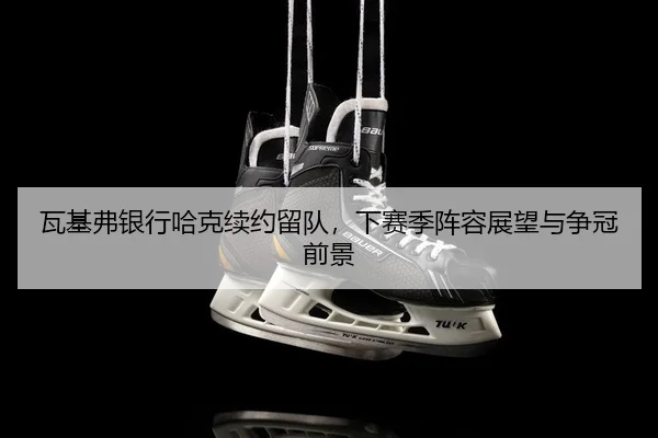 wa-ji-fu-yin-hang-ha-ke-xu-yue-liu-dui-xia-sai-ji-zhen-rong-zhan-wang-yu-zheng-guan-qian-jing-2-298.jpg
